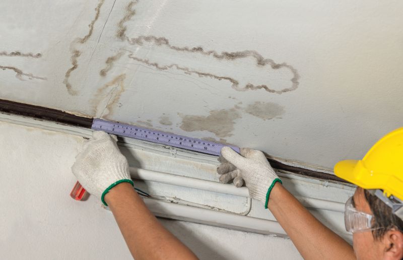 Basement Ceiling Painting