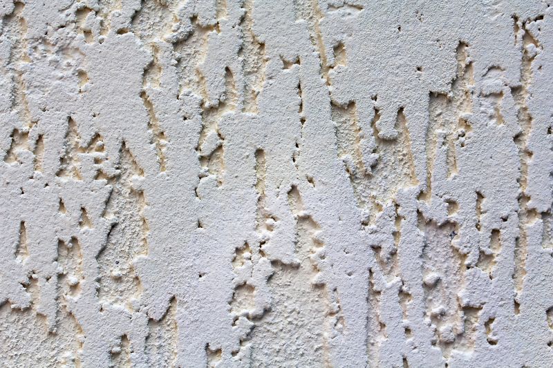 Stucco Ceiling Painting